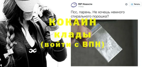 кокс Алексин