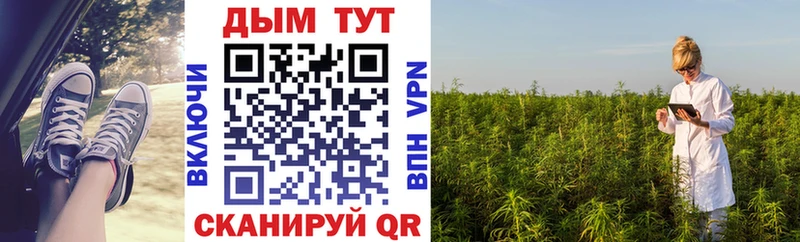 Конопля Bruce Banner  купить наркотики цена  Николаевск 